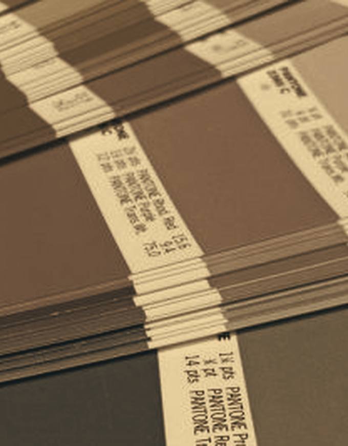 Branding and graphic design